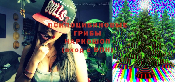 ешки Абаза